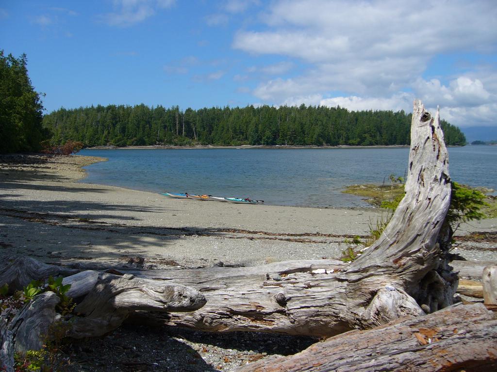 203 At Water'S Edge Apartment Ucluelet Cameră foto