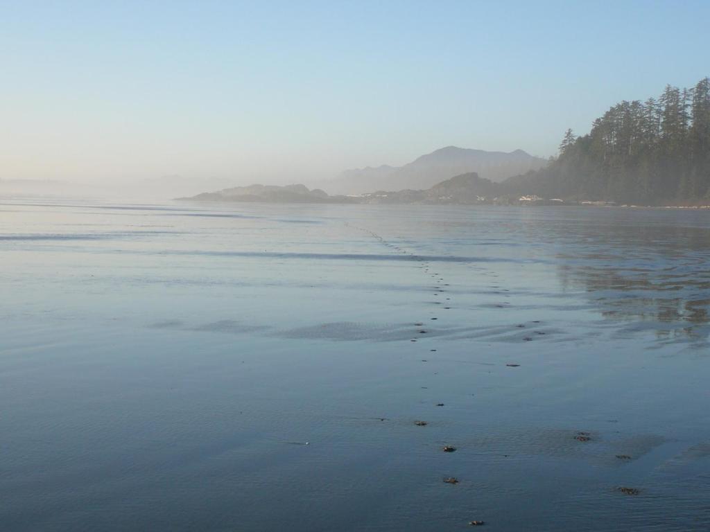 203 At Water'S Edge Apartment Ucluelet Exterior foto